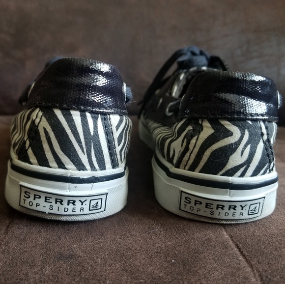 Zebra Sperrys - Picture 6 of 7